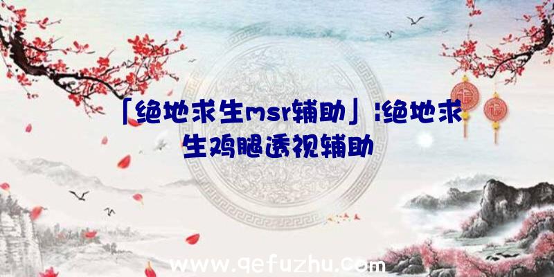 「绝地求生msr辅助」|绝地求生鸡腿透视辅助